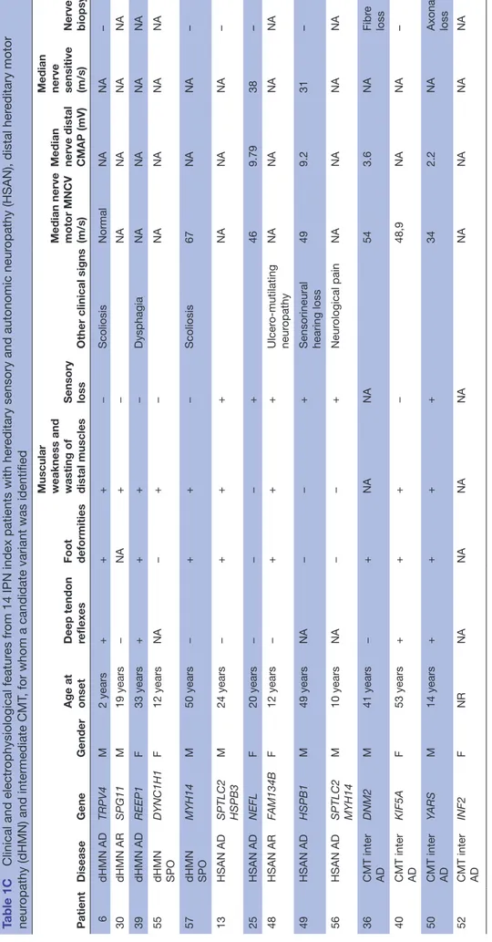 Table 1CClinical and electrophysiological features from 14 IPN index patients with hereditary sensory and autonomic neuropathy (HSAN), distal hereditary motor  neuropathy (dHMN) and intermediate CMT, for whom a candidate variant was identified PatientDisea