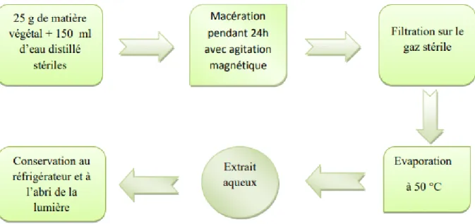 Figure 3 : représentation schématique de l’extraction aqueuse (Belhattab et al., 2007)