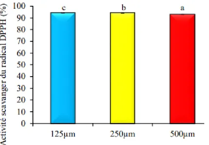 Figure 7 : l’activité «scavenger» du radical DPPH de Chamaemelum nobile L. (Kitoune et  Outamazirt, 2018)