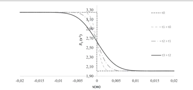 Figure 5. Modeling the in ﬂ uence of the diffusion time on the transverse relaxation rate pro ﬁ le R x t 2 ( , ) .