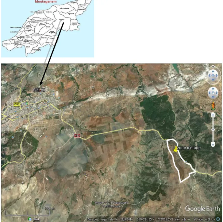 Figure  05 : Image satellitaire de la zone d’étude  (Source : Digital Globe, 2016) 