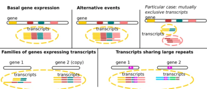 Figure 1. Clustering scenarii. In the case of basal gene expression and alternative events (described below), with the exception of mutually exclusive transcripts, it is expected that all transcripts of a gene will be grouped together in a single cluster