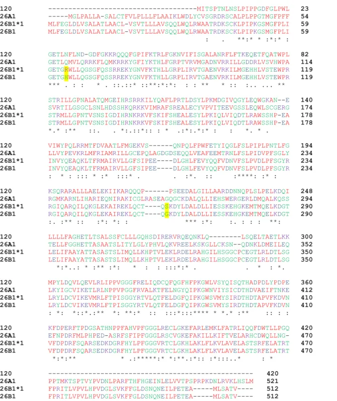 Figure 9-1.  Multiple sequence alignment of CYP120, CYP26A1, CYP26B1*1 and CYP26B1  amino acid sequences