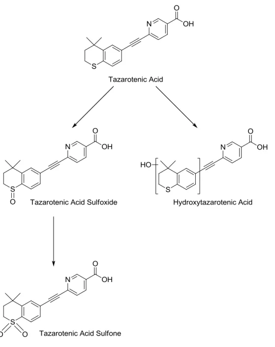 Figure 9-11.  Proposed metabolic scheme of tazarotenic acid by CYP26A1 and CYP26B1. 