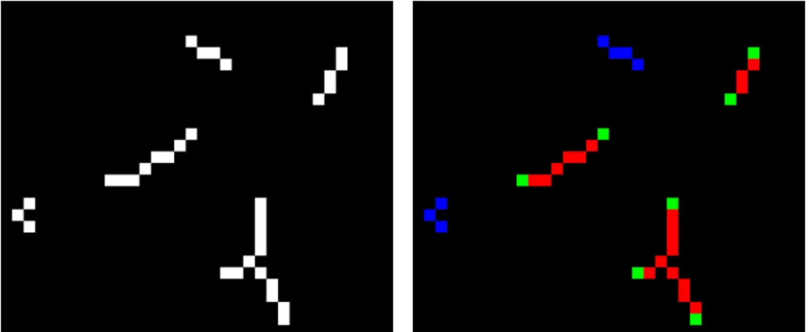Figure 5.8: Original image (left) and its segmentation into tokens (right): islands (blue), segments (red) and segment ends (green).
