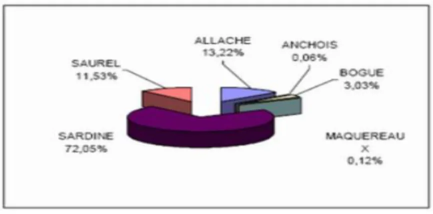 Figure 01: proportion des espèces dans les captures (source DPRH 2004). 