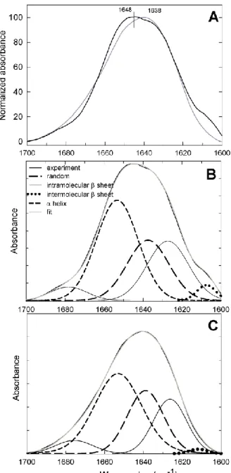 Fig.  7.  Comparative  analysis  of  moesin  and  ezrin  secondary  structure  by  FTIR  spectroscopy