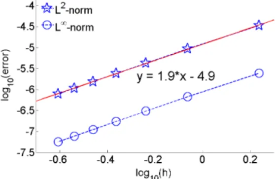 Figure 4: Spatial convergence of L 2 -error and L ∞ -error for a three-dimensional homogeneous problem on C = [−5µm, 5µm] 3 with PGSE sequence: ∆ = δ = 4ms, D = 3 · 10 −3 mm 2 /s and