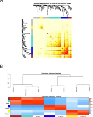 Figure 3.  Distinct modules interact differently each other. (A) The heatmap shows the Topological Overlap  Matrix (TOM) values among the proteins of the network delimited in modules by the dynamic method