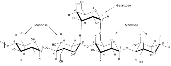 Figure 5: Structure moléculaire des galactomannanes (Secouard et al., 2007). 