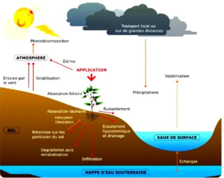 Figure 2. Processus de diffusion des pesticides dans l’environnement (Atmo, 2017).  