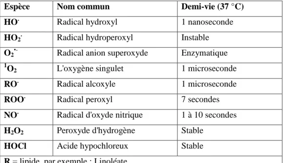 Tableau 3. Demi-vie des principales ERO biologiques (Jacob 1995). 