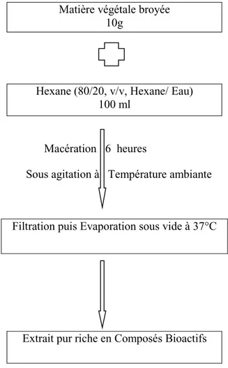 Figure 05. Etape d’extraction des composés bioactifs de Mentha  pepirita selon le protocole  de  (Sultana et al., 2009).