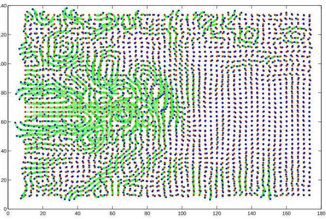 Fig. 7.2 – Exp´eriences jumelles : positions de 2000 flotteurs, en rouge la position initiale du flotteur, en bleu sa position finale au bout de 10 jours de d´erive, en vert les positions interm´ediaires chaque jour