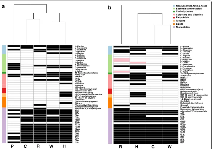 Fig. 1 Predictions for the production of essential metabolites by symbionts in the bacteriocyte in an environment simulating substrates produced by the host (a) and in an environment simulating substrates produced by the host and its obligatory symbiont Po