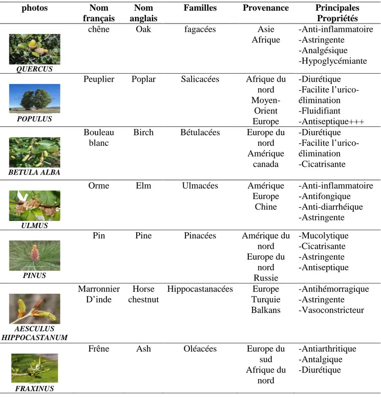 Tableau 4: origine botanique de la propolis (Burdock, 1998).