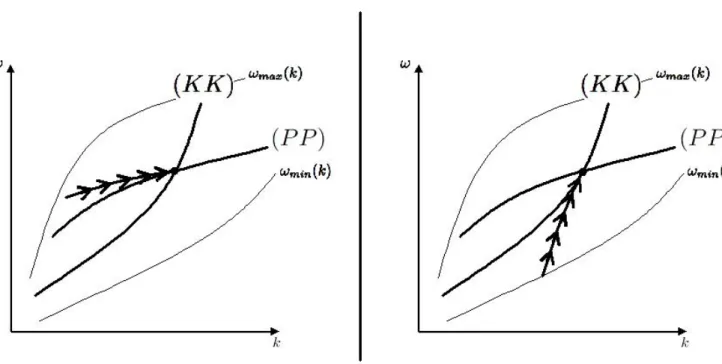 Figure 13: The optimal paths in the (k, ω) plan when (left) the consumption sector is relatively more capital-intensive and when (right) the investment sector is relatively more capital-intensive.