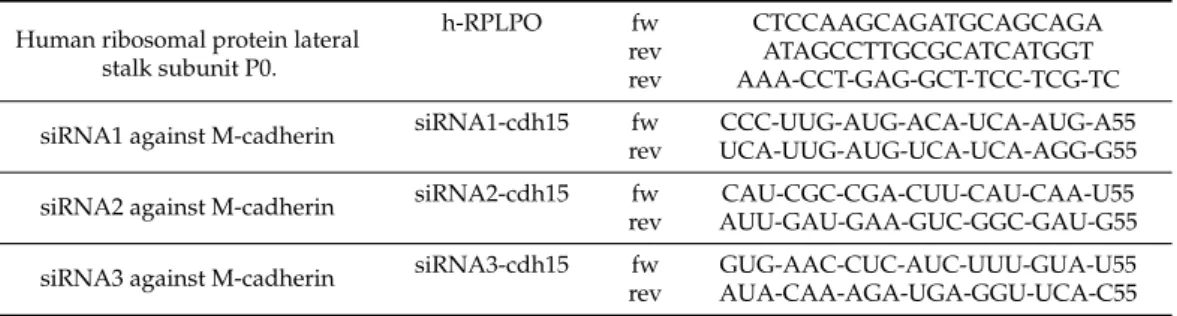 Table 1. Primer and siRNA sequences.
