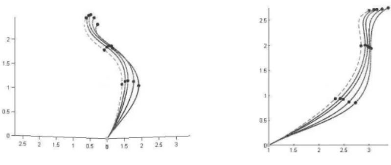 Figure 12: An example with different lengths l 1 for the first segment. For the dashed curve, the first segment has length l 1 = 2, and this is increased by 1% for each of the successive (solid) curves.