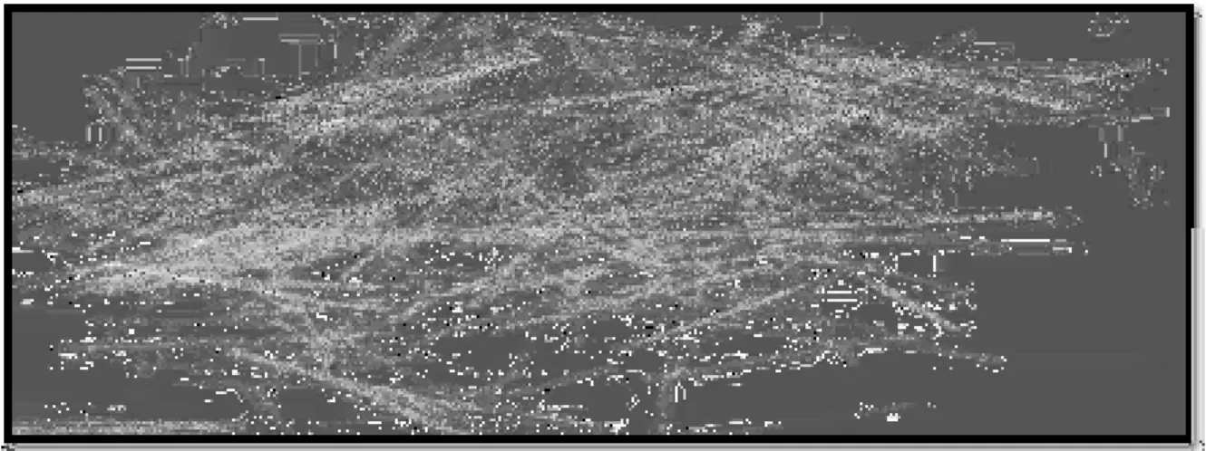 Figure I.2.2 : microfibres synthétiques  4.1.2. Les microfibres synthétiques 