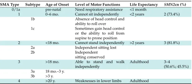 Figure 1B). This additional factor is, however, still insufficient to explain the phenotypic variability among siblings carrying the same mutation in SMN1 and same SMN2 copy number [5,6].