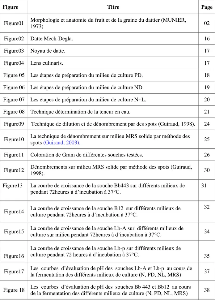 Figure  Titre  Page  Figure01  Morphologie et anatomie du fruit et de la graine du dattier (MUNIER, 