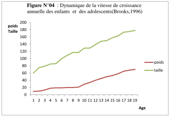 Figure N°04  : Dynamique de la vitesse de croissance  annuelle des enfants  et  des adolescents(Brooks,1996)