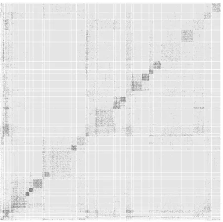 Figure 4: Adjacency matrix of the network of blogs, the rows/columns are sorted by cluster number with clusters found by the greedy ICL algorithm