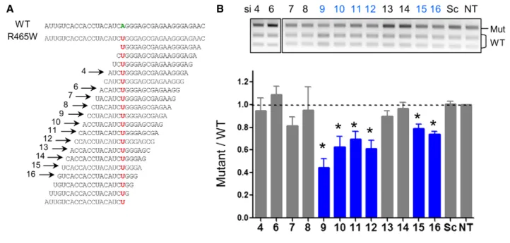 Figure 1. Identification of six allele-specific siRNAs in MEFs.