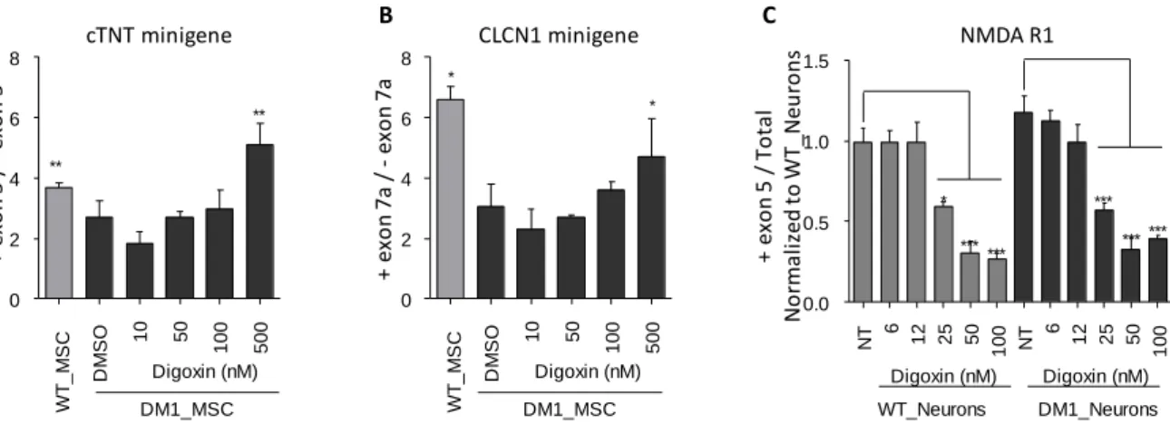 Figure S3: Beneficial effect of digoxin treatment on other splice defects associated to DM1, Related  to Figure 3 