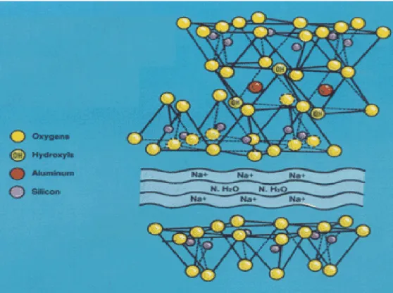 Figure I.8 : Structure de la montmorillonite [37]. 