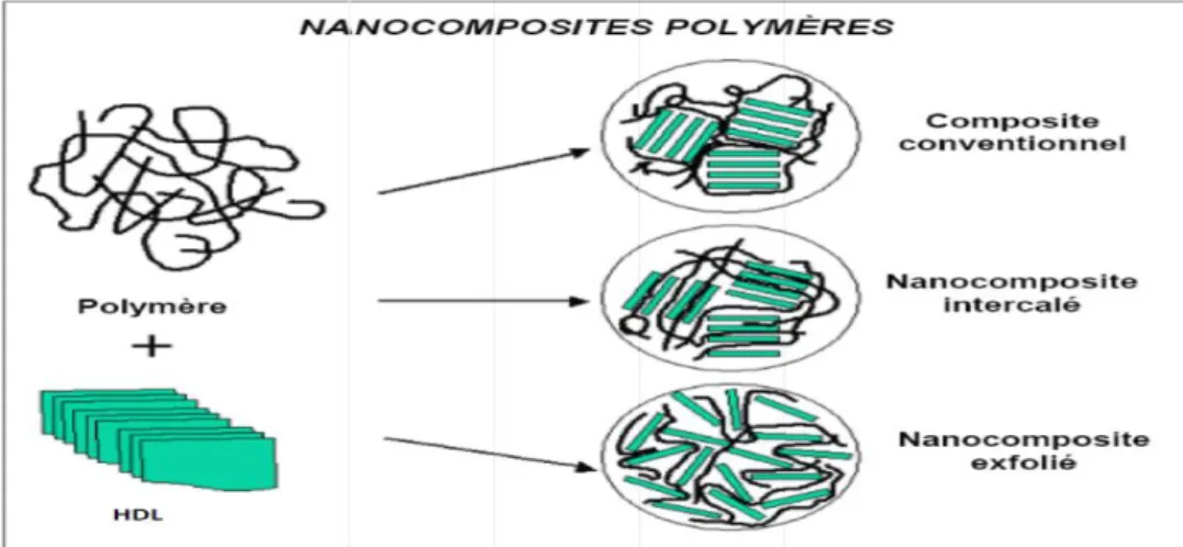 Figure I.9 : Les différents types des nano-composites polymères. 