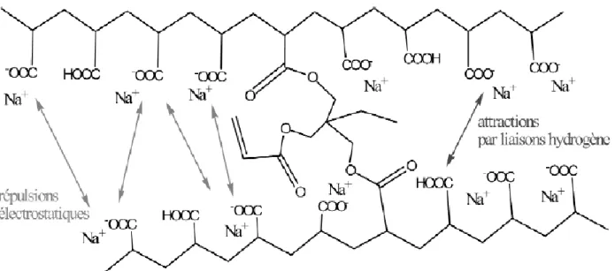 Figure II.1 : structure d’un poly acrylate. 