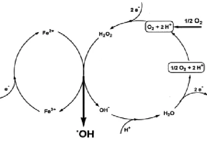 Figure  I.1.  Représentation  schématique  de  la  production  électrochimique  des  radicaux  hydroxyles par le procédé Electro-Fenton [95].