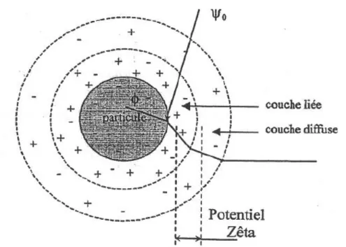 Figure II.3. Structure et composition de la double couche sur une particule colloïdale