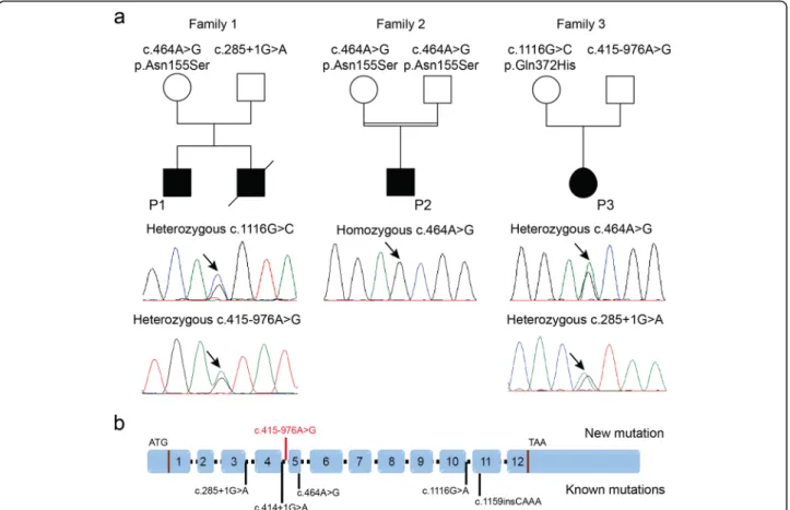 Fig. 5 Identification of PYROXD1 mutations. a Pedigrees of three novel PYROXD1 families and chromatopherograms showing the mutations.