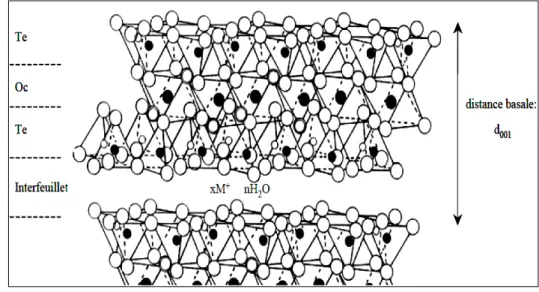 Figure I.5 : Feuillets de type Te – Oc - Te (2/1) (Caillère et al, 1982-a).  