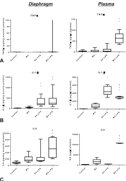 Fig 3. Tumor necrosis factor (TNF)-α (Panel A), interleukin (IL)-1β (Panel B) and IL-6 (Panel C) protein concentration in the diaphragm (left panels) and in the plasma (right panels) in the four experimental groups.