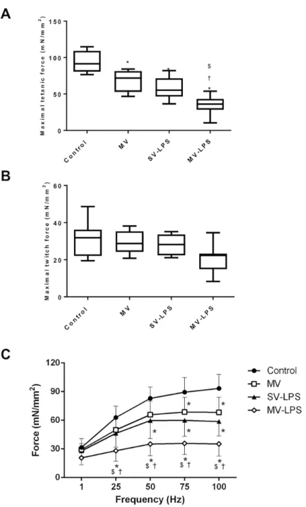 Fig 1. Maximal tetanic force (Panel A), maximal twitch force (Panel B) and force-frequency relationship (Panel C) of the diaphragm in the four experimental groups