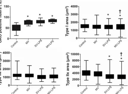 Fig 2. Proportion of diaphragm myofibers in which intramyocellular fat droplets was observed (panel A) and diaphragm cross-sectional area (CSA) of type I (panel B), type IIa, (panel C) and type IIx fibres (panel D) in the four experimental groups