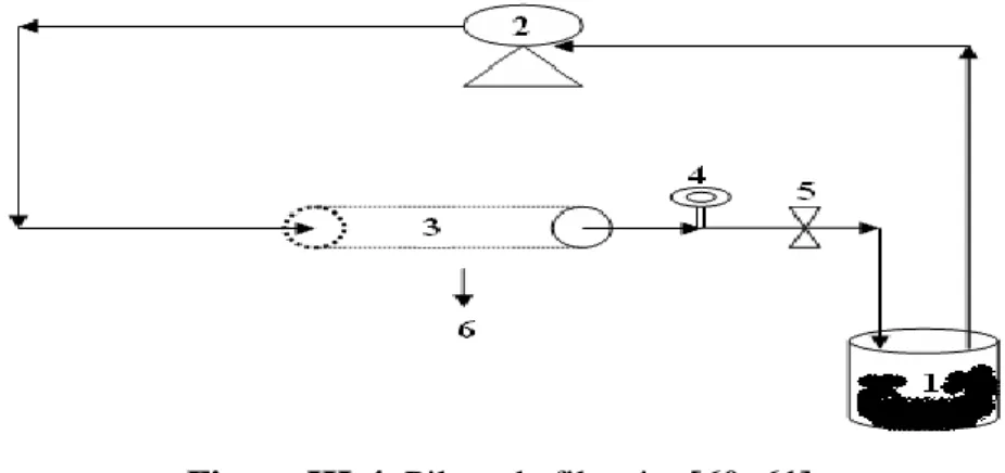 Figure III-4. Pilote de filtration[60, 61]. 