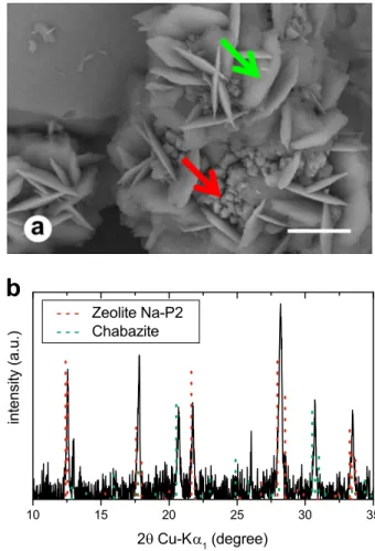 Fig. 5 Seeds growth at 90 °C, pH = 10.1. a At pH 90 °C = 10.1, two crystals with very different morphologies are observed (seeds of  Na-P2 zeolite indicated by the red arrow and neoformed crystals indicated by the green arrow)