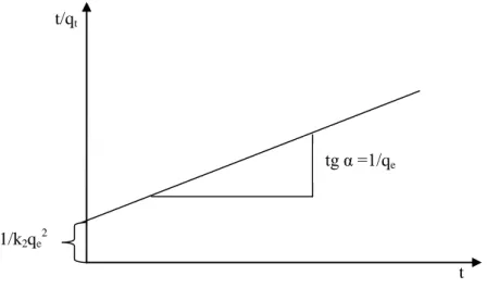 Figure I-8 : Représentation linéaire du modèle cinétique du pseudo-deuxième ordre 
