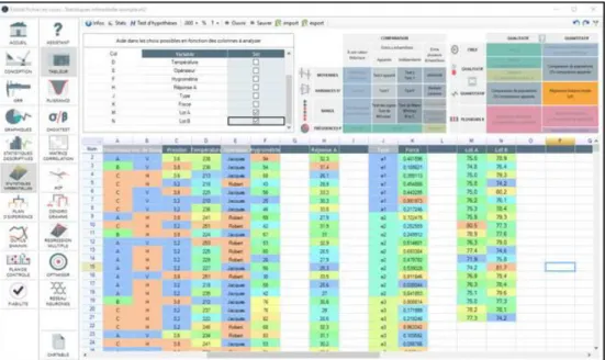 Figure IV.4. Interface générale du tableur intégré à Ellistat®. 