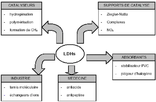 Figure I-4 : Différents domaines d’applications des HDL. 