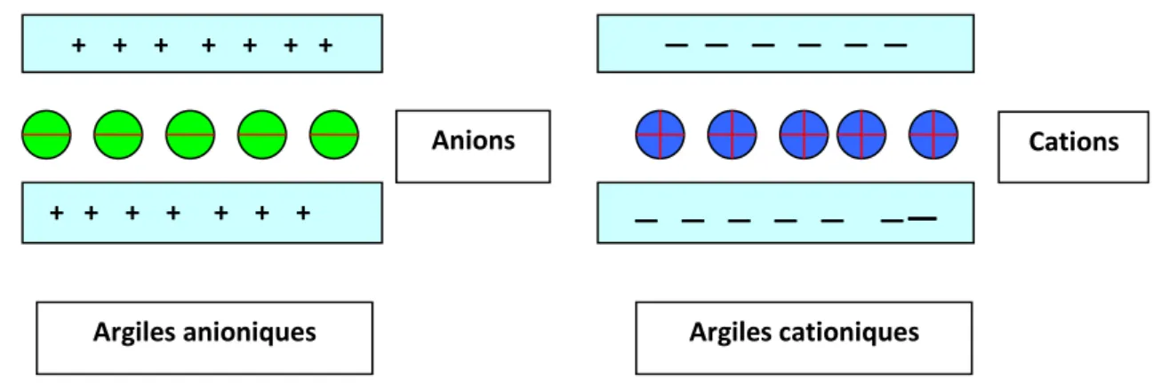 Figure I- 1 : Différence schématique entre les argiles cationiques et anioniques +    +    +     +    +    +   +  +   +    +    +     +    +    + Anions —  —   —   —   —  — —   —   —   —   —    ——  Cations 