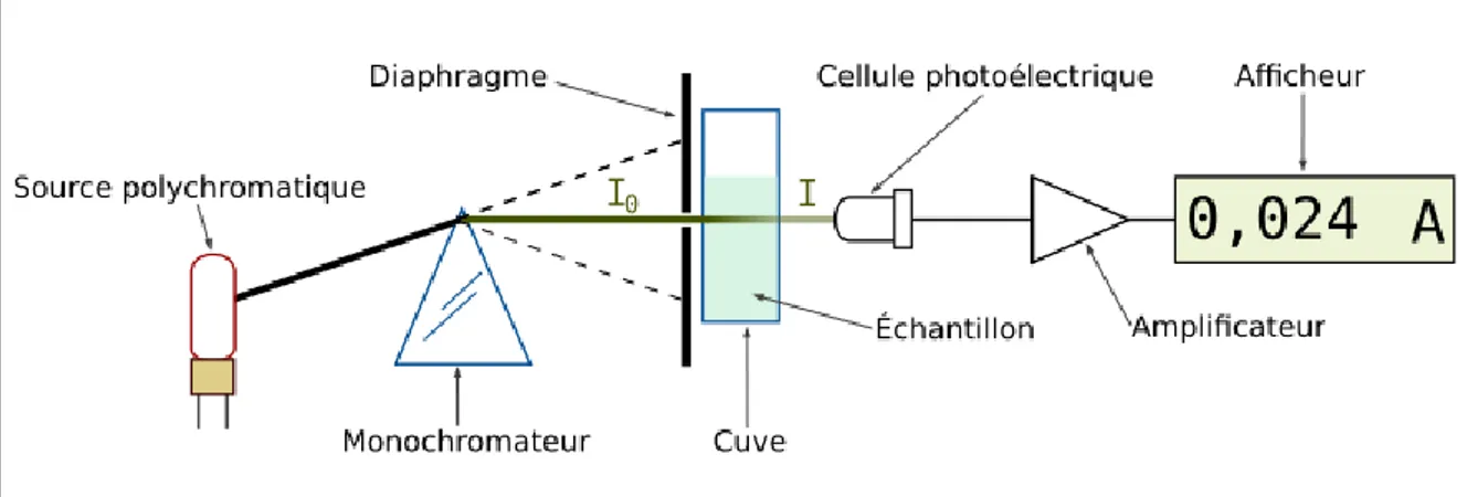 Figure : Schéma d’un trajet lumineux à travers une cuve d’un spectrophotomètre. 