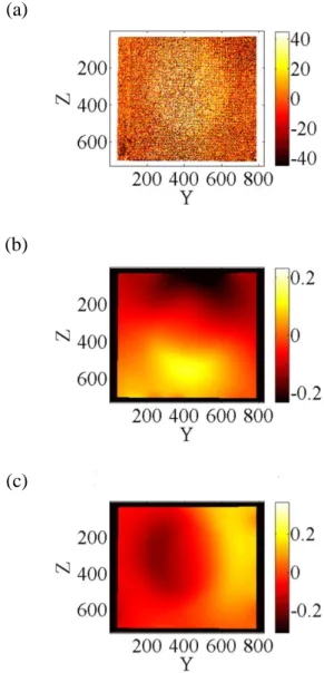 Figure 8: (a) Correlation residual map expressed in grey levels (dynamic range of the  picture: 4080 grey levels)