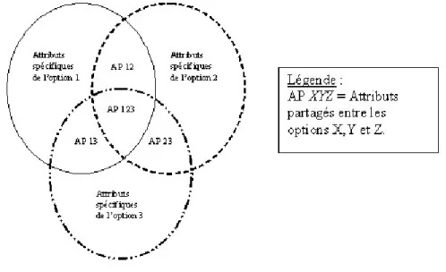 Fig. 1 – Attributs spécifiques et partagés