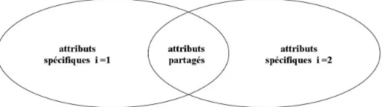 Fig. 6 – Attributs partagés et attributs spécifiques